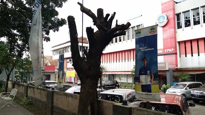 Universitas-Sangga-Buana-678x381